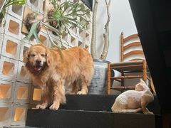 -自由生长植物工作室(深港花卉中心店)
