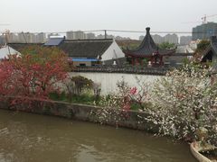 -南汇桃花村