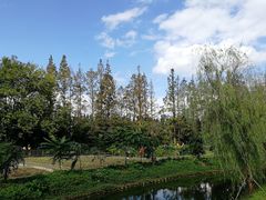 -上海长兴岛郊野公园