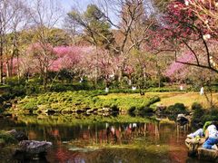 -杭州植物园