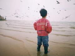 -老虎石海上公园