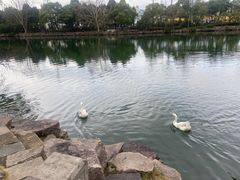 -台州府城(东湖)