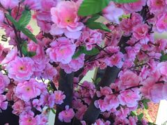 -大嶝英雄三岛战地观光园