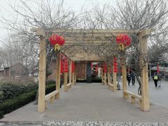 -太阳部落