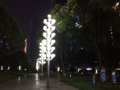 -重庆市江北嘴中央商务区中央公园