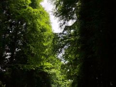 -山王坪喀斯特国家生态公园