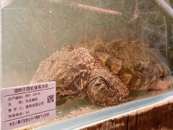 -造物庄园 萌宠纪(苏州湾歌林公园店)