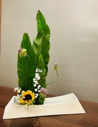 -今日陶艺(富力广场店)