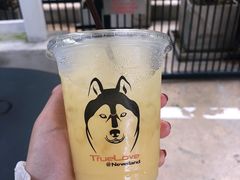 -TrueLove @ Neverland (Husky Cafe)