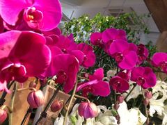 iphone_upload_pic-春暖花开(西溪店)