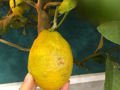 -春莱·老挝咖啡·泰式奶茶(钟楼店)