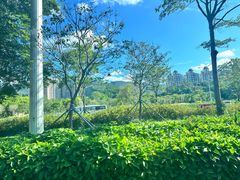 -燕晗山郊野公园