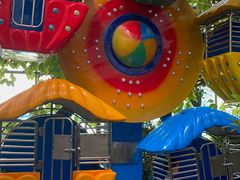 -南宫五洲植物乐园