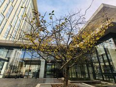 -廊坊固安福朋喜来登酒店