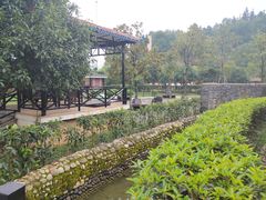 -三江森林温泉度假区