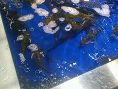 -北国超市(益元店)