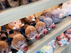 -北京周口店北京人遗址博物馆