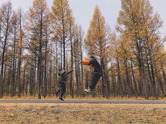 -御道口草原森林风景区