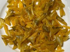 -阿五黄河大鲤鱼(纬三路店)