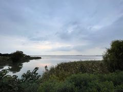 -莲花岛景区