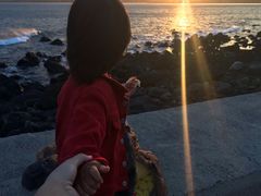 -涉地可支