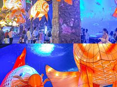 -正佳极地海洋世界