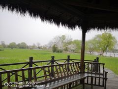 -梁鸿国家湿地公园