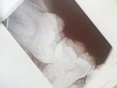 -上海陈守平口腔诊所