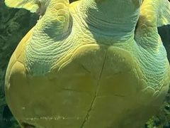 -上海海洋水族馆