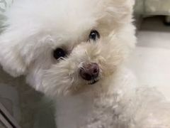 -心仪动物医院·牙专科·肿瘤·心脏科(西客站院)