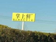 -掌上鲜(南顺城街店)