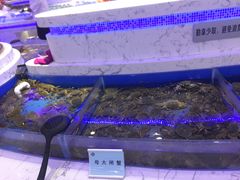 -澜悦港海鲜体验主题餐厅