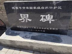 -牛背梁国家森林公园