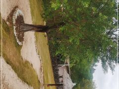 -泉州海丝野生动物世界