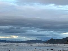 -北岐滩涂