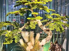 -渝乡辣婆婆·川菜 水煮鱼(中山西路店)