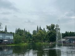 -成飞公园
