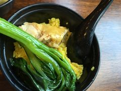 -雨林餐厅(长隆海洋王国店)