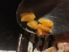 -Apollo·西班牙小酒馆(安福路店)