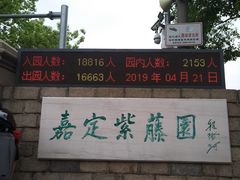 -嘉定紫藤园