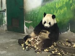 -无锡动物园·太湖欢乐园
