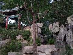 -文瀛公园