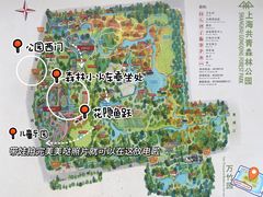 -上海共青森林公园