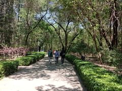 -廊坊市自然公园