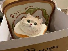 -真地道京味府·鲜橙烤鸭·北京菜(朝外大街东大桥店)