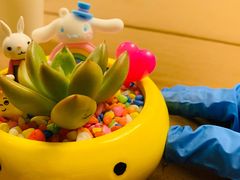 -上海银星皇冠假日酒店