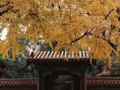 -圣泉菜馆(户部山店)