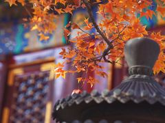 -香山公园