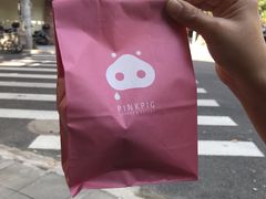 -WHEN PIGS FLY当猪飞