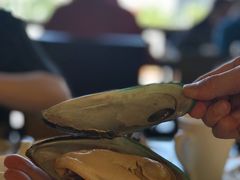超大的青口-大中华希尔顿酒店-念自助餐·嗨啤·小龙虾